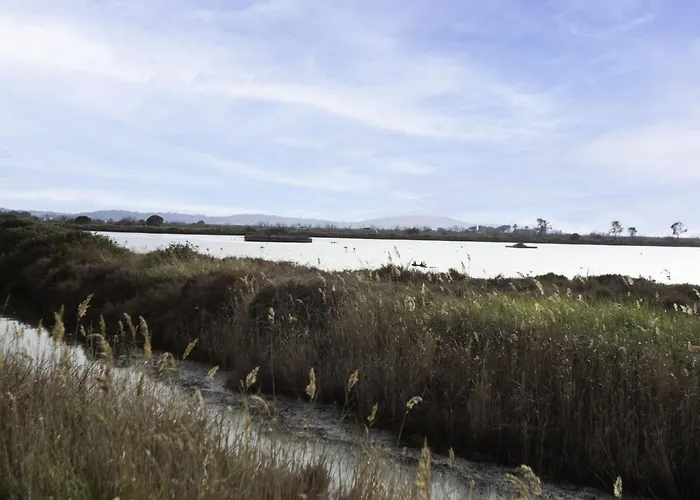 Port De La Gavine I-5 By Interhome *